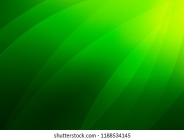 Light Green vector texture with colored lines. Glitter abstract illustration with colored sticks. The template can be used as a background.