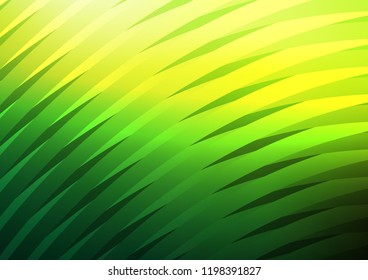 Light Green vector texture with colored lines. Decorative shining illustration with lines on abstract template. Best design for your ad, poster, banner.