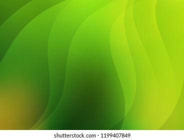Light Green vector texture with colored lines. Glitter abstract illustration with colored sticks. Best design for your ad, poster, banner.