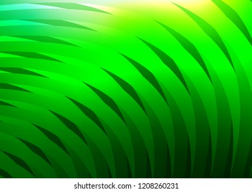 Light Green vector texture with colored lines. Decorative shining illustration with lines on abstract template. Smart design for your business advert.