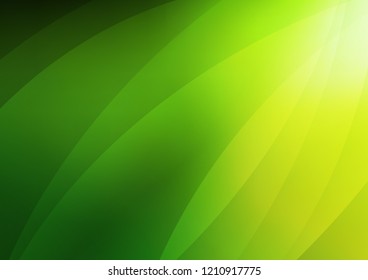 Light Green vector texture with colored lines. Shining colored illustration with narrow lines. Best design for your ad, poster, banner.