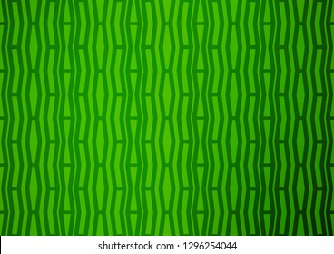 Light Green vector texture with colored lines. Blurred decorative design in simple style with lines. The pattern can be used for busines ad, booklets, leaflets