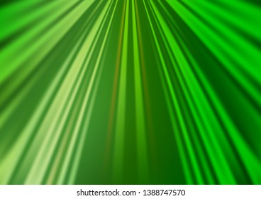 Light Green vector texture with colored lines. Lines on blurred abstract background with gradient. Backdrop for TV commercials.