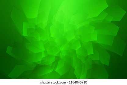 Light Green vector texture with colorful hexagons. Illustration with set of colorful hexagons. New design for website's poster, banner.