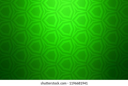 Light Green vector texture with colorful hexagons. Colorful hexagons on blur backdrop. Design for your business advert.