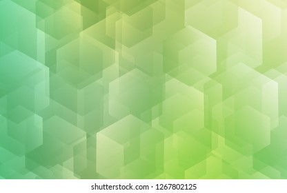 Light Green vector texture with colorful hexagons. Illustration of colored hexagons on white surface. Pattern for texture of wallpapers.