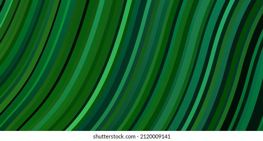 Light Green vector texture with curves. Brand new colorful illustration with bent lines. Best design for your ad, poster, banner.
