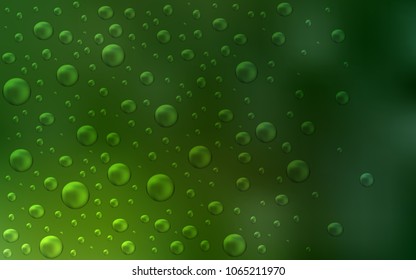 Light Green vector texture with disks. Beautiful colored illustration with blurred circles in nature style. Beautiful design for your business natural advert.