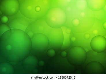 Light Green vector texture with disks. Beautiful colored illustration with blurred circles in nature style. New design for ad, poster, banner of your website.