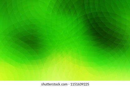 Light Green vector texture with disks. Modern abstract illustration with colorful water drops. Pattern can be used for ads, leaflets.