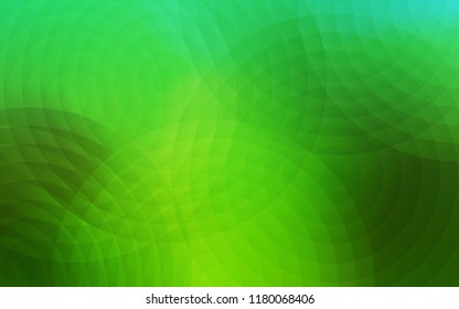 Light Green vector texture with disks. Illustration with set of shining colorful abstract circles. Pattern can be used for ads, leaflets.
