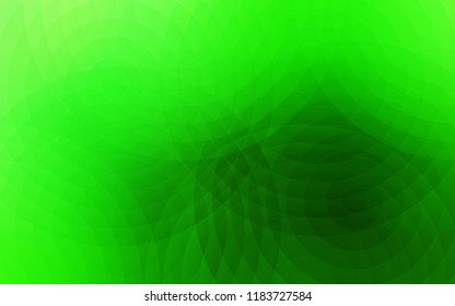 Light Green vector texture with disks. Beautiful colored illustration with blurred circles in nature style. Pattern can be used for beautiful websites.