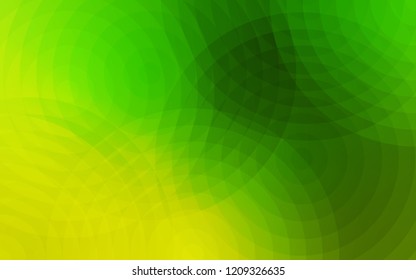 Light Green vector texture with disks. Glitter abstract illustration with blurred drops of rain. Pattern can be used for ads, leaflets.