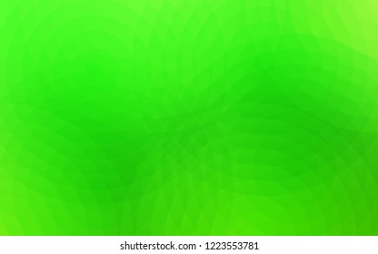 Light Green vector texture with disks. Glitter abstract illustration with blurred drops of rain. Completely new template for your brand book.