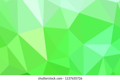 Light Green vector triangle mosaic cover. A completely new color illustration in a polygonal style. New template for your brand book.