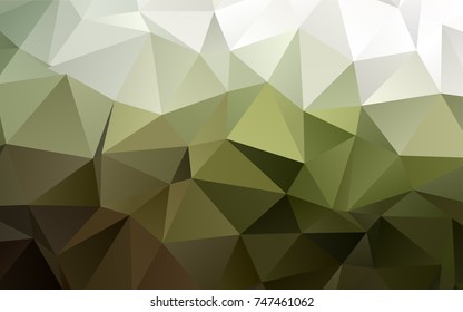 Light Green vector triangle mosaic template. An elegant bright illustration with gradient. A completely new template for your business design.