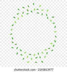 Vector transparente de fondo de vegetación verde claro. Ilustración de la Naturaleza de Foliage. Tarjeta orgánica. Diseño de Vida Greenish. Green Twig.