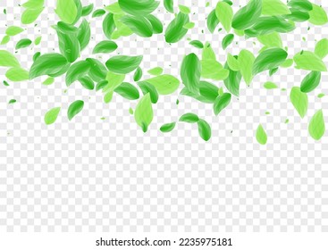 Light Green Vegetation Background Transparent Vector. Plant Park Design. Herbal Texture. Green Watercolor Card. Sheet Flavor.