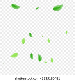Light Green Vegetation Background Transparent Vector. Greenery Wind Design. Floral Card. Greenish Pattern Illustration. Leaf Growth.