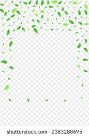 Light Green Vegetation Background Transparent Vector. Plant Light Texture. Flying Frame. Green Space Design. Foliage Summer.
