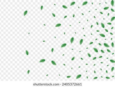 Light Green Vegetation Background Transparent Vector. Foliage Garden Frame. Environmental Texture. Green Label Illustration. Leaf Symbol.