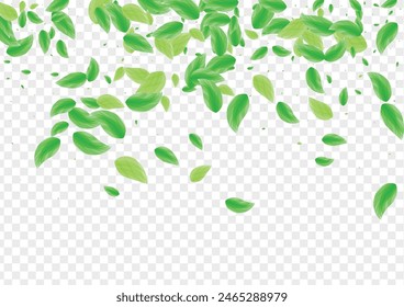 Light Green Vegetation Background Transparent Vector. Plant Silhouette Texture. Environment Card. Greenish Flavor Illustration. Greenery Garden.