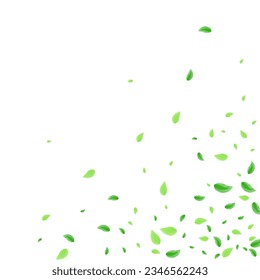 Light Green Vegetation Background White Vector. Foliage Motion Frame. Grow Design. Green Beauty Card. Sheet Cover.