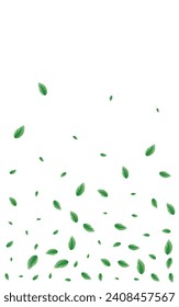 Light Green Vegetation Background White Vector. Sheet Subtle Texture. Watercolor Card. Greenish Cosmetic Frame. Foliage Summer.