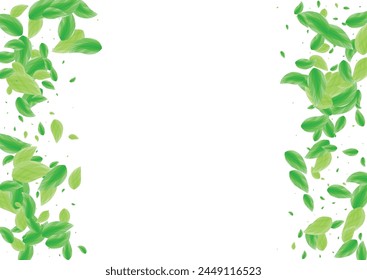 Light Green Vegetation Background White Vector. Leaves Bio Design. Border Texture. Greenish Twig Frame. Plant Realistic.