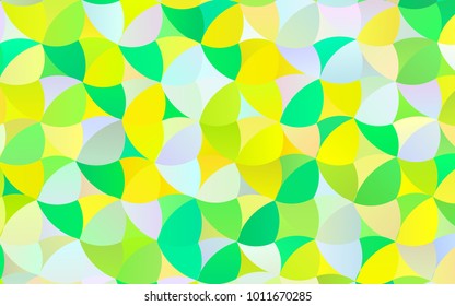 Light Green, Yellow vector abstract pattern with circles. Geometry template for your business design. Background with colored spheres.