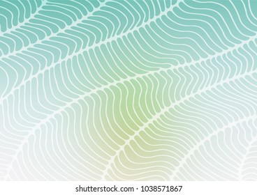 Light Green, Yellow vector abstract doodle pattern. Glitter abstract illustration with doodles and Zen tangles. The pattern can be used for wallpapers and coloring books.