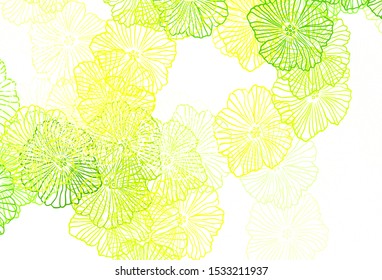 Light Green, Yellow vector abstract backdrop with leaves. Colorful illustration with flowers in doodle style. Doodle design for your web site.