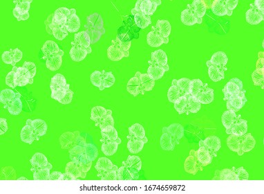 Hellgrünes, gelbes Vektorillustration abstraktes Design mit Blumen. Abstrakte Illustration mit Blumen. Neue Vorlage für Ihr Markenbuch.