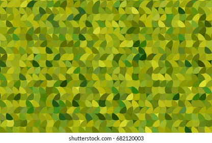 Light Green, Yellow vector abstract pattern with circles. Geometry template for your business design. Background with colored spheres.