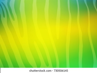 Light Green, Yellow vector abstract doodle template. Ethnic elegant natural pattern with gradient. The pattern can be used for coloring books and pages for kids.