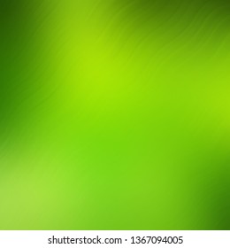 Light Green, Yellow vector background with wry lines. Abstract illustration with gradient bows. Pattern for booklets, leaflets.