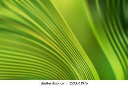 Light Green, Yellow vector background with wry lines. Colorful abstract illustration with gradient lines. A completely new design for your business.