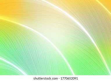 Light Green, Yellow vector background with wry lines. Colorful geometric sample with gradient lines.  Elegant pattern for a brand book.