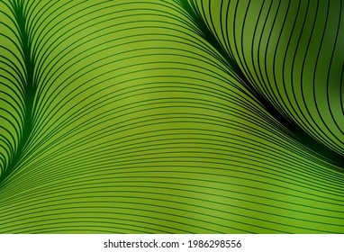 Light Green, Yellow vector background with curved lines. Shining colorful illustration in simple curve style. A sample for your ideas.