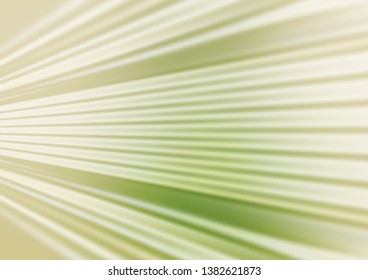 Light Green, Yellow vector blurred and colored background. Colorful illustration in blurry style with gradient. The blurred design can be used for your web site.