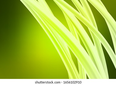 Light Green, Yellow vector blurred and colored pattern. A completely new colored illustration in blur style. Blurred design for your web site.