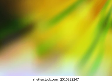 Verde-claro, modelo borrado de vetor amarelo. Uma ilustração brilhante elegante com gradiente. Design completamente novo para a sua empresa.