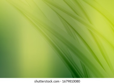 Fondo abstracto de color verde claro, vector amarillo. Ilustración abstracta colorida con degradado. Diseño completamente nuevo para su negocio.