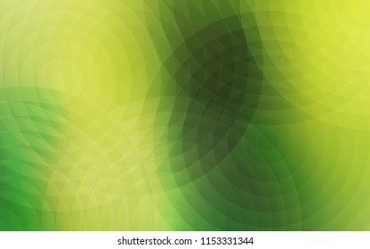 Light Green, Yellow vector cover with spots. Illustration with set of shining colorful abstract circles. Pattern can be used for ads, leaflets.