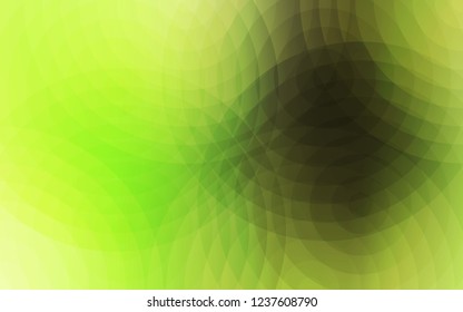 Light Green, Yellow vector cover with spots. Glitter abstract illustration with blurred drops of rain. Pattern can be used for ads, leaflets.