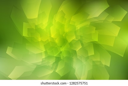 Light Green, Yellow vector cover with set of hexagons. Colorful hexagons on white backdrop. New template for your brand book.