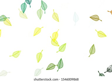 Light Green, Yellow vector doodle texture. Colorful abstract illustration with leaves in doodle style. Pattern for heads of websites and designs.