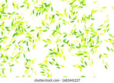 Diseño de doodle vectorial amarillo verde claro con hojas. Diseño decorativo borroso de estilo indio con hojas. Diseño elegante para su libro de marca.