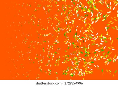 Color verde claro, patrón de doodle vectorial amarillo con hojas. Una elegante ilustración brillante con hojas de estilo natural. Patrón elegante para tu libro de marca.