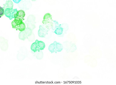 Light Green, Yellow vector elegant pattern with flowers. Flowers in natural style on white background. Textured pattern for websites, banners.